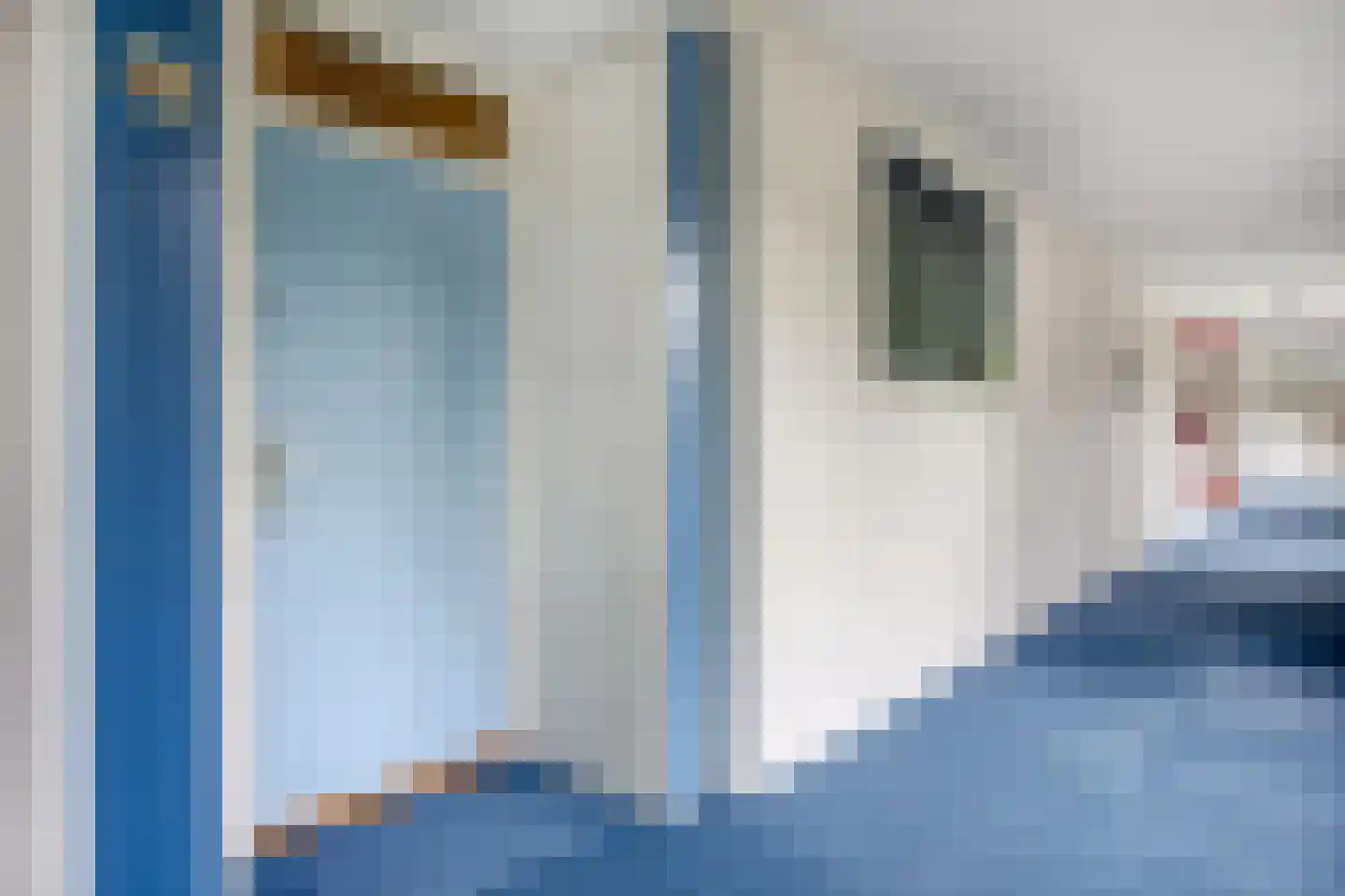 Rozenhof 47 Epe thumbnail 26