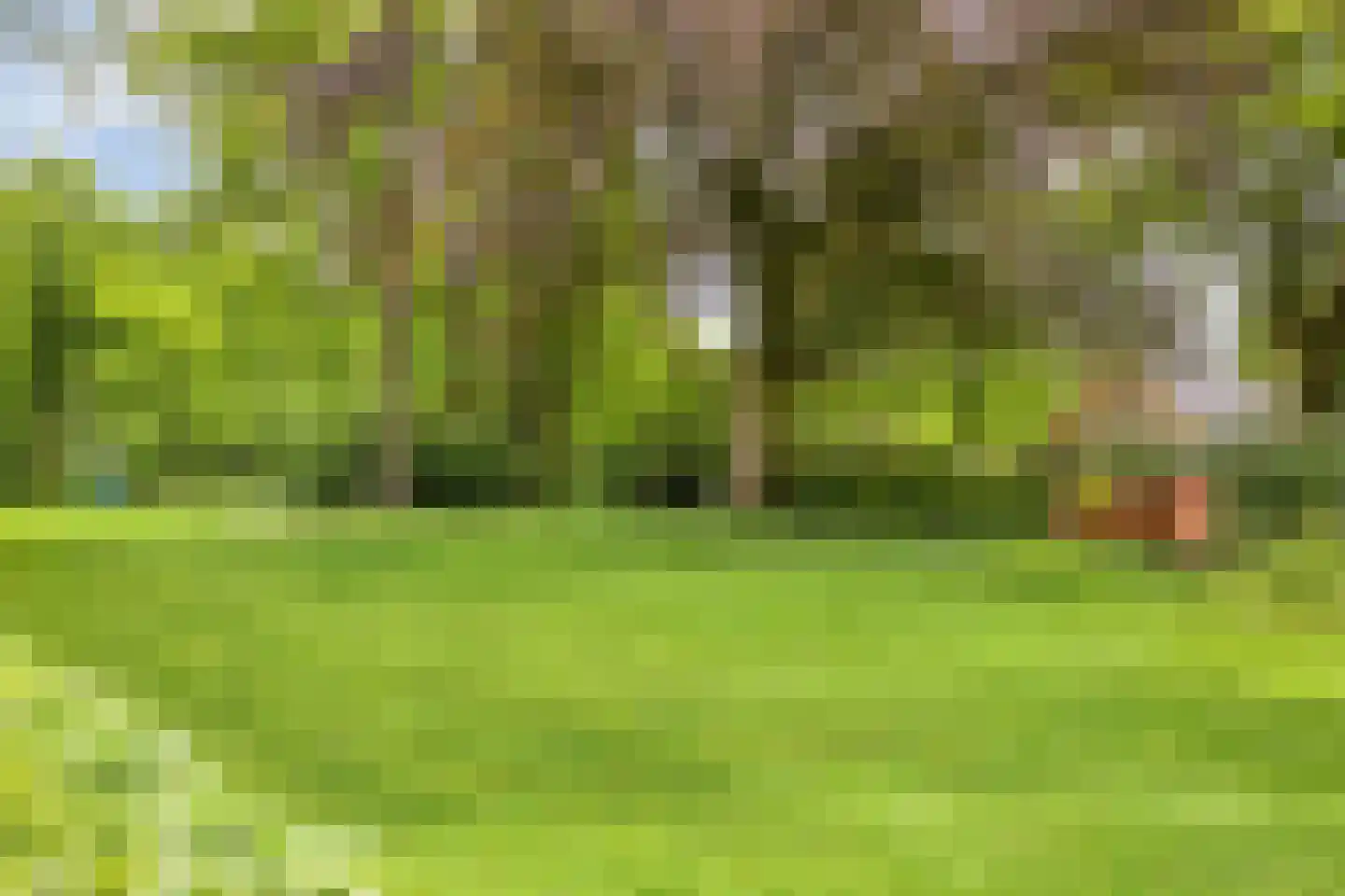 Rozenhof 47 Epe thumbnail 27