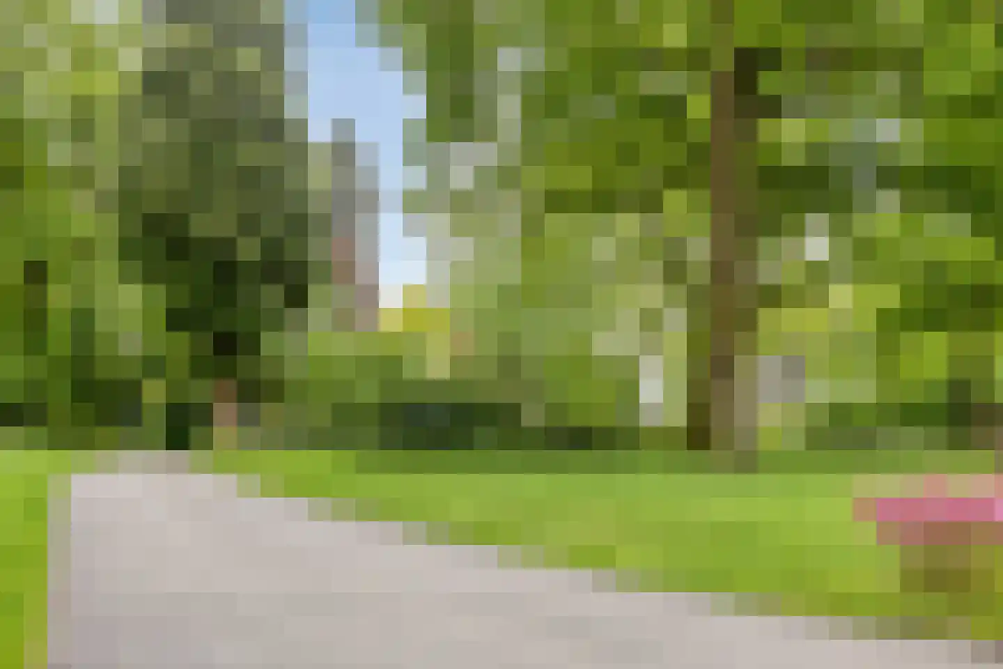 Rozenhof 47 Epe thumbnail 28