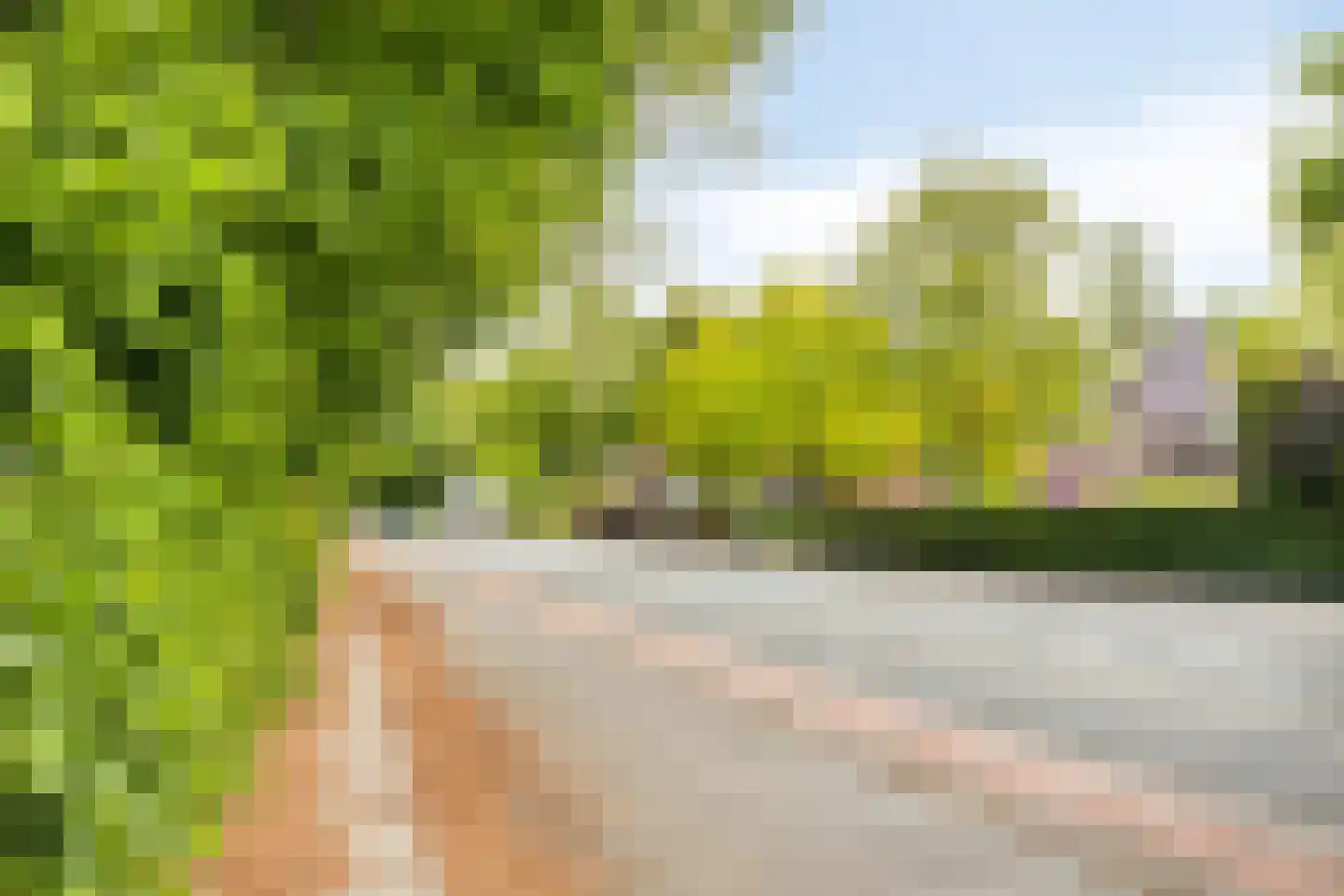 Rozenhof 47 Epe thumbnail 29