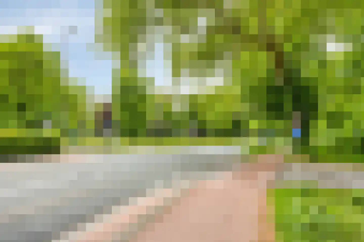 Rozenhof 47 Epe thumbnail 30