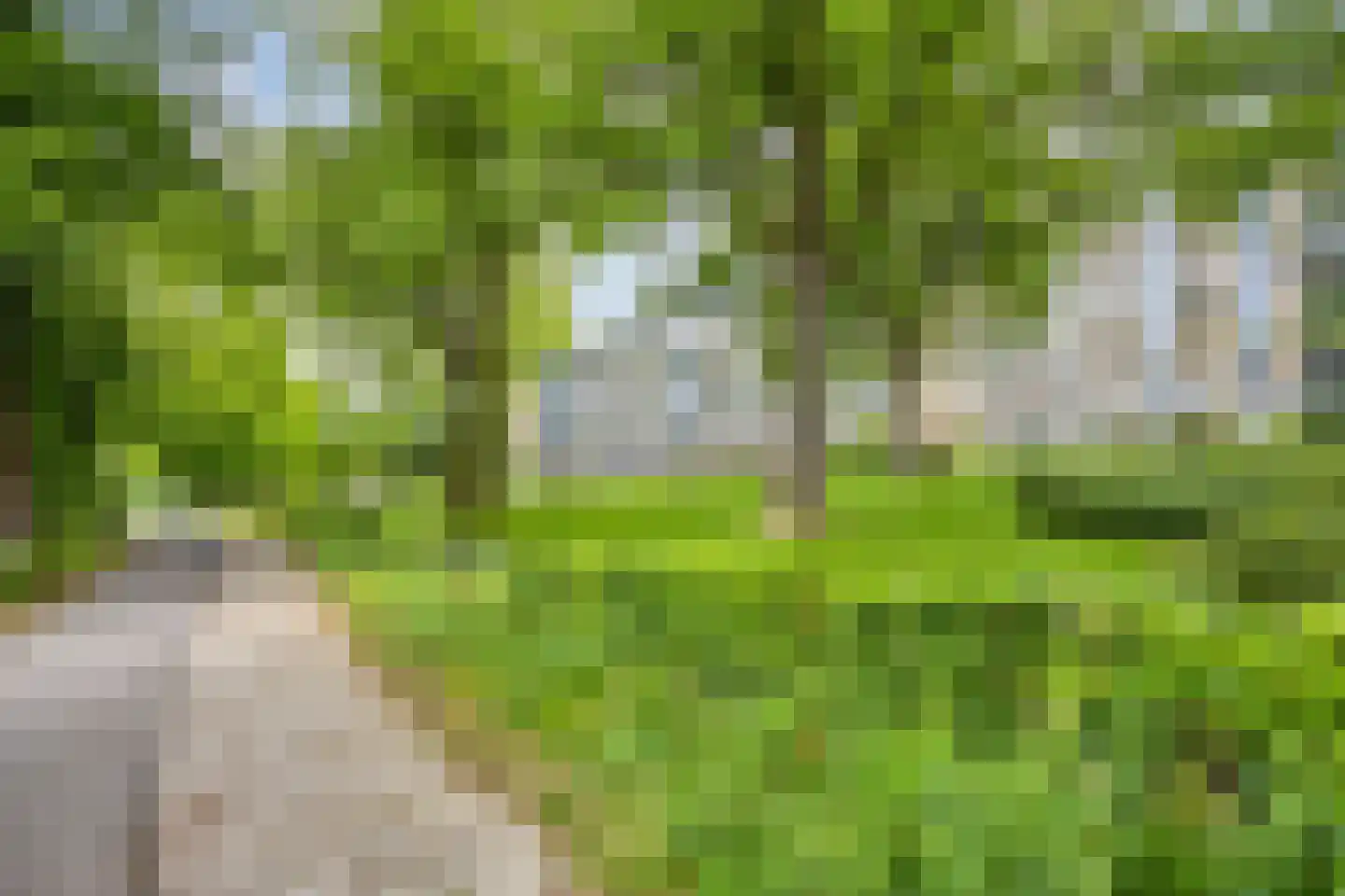 Rozenhof 47 Epe thumbnail 31