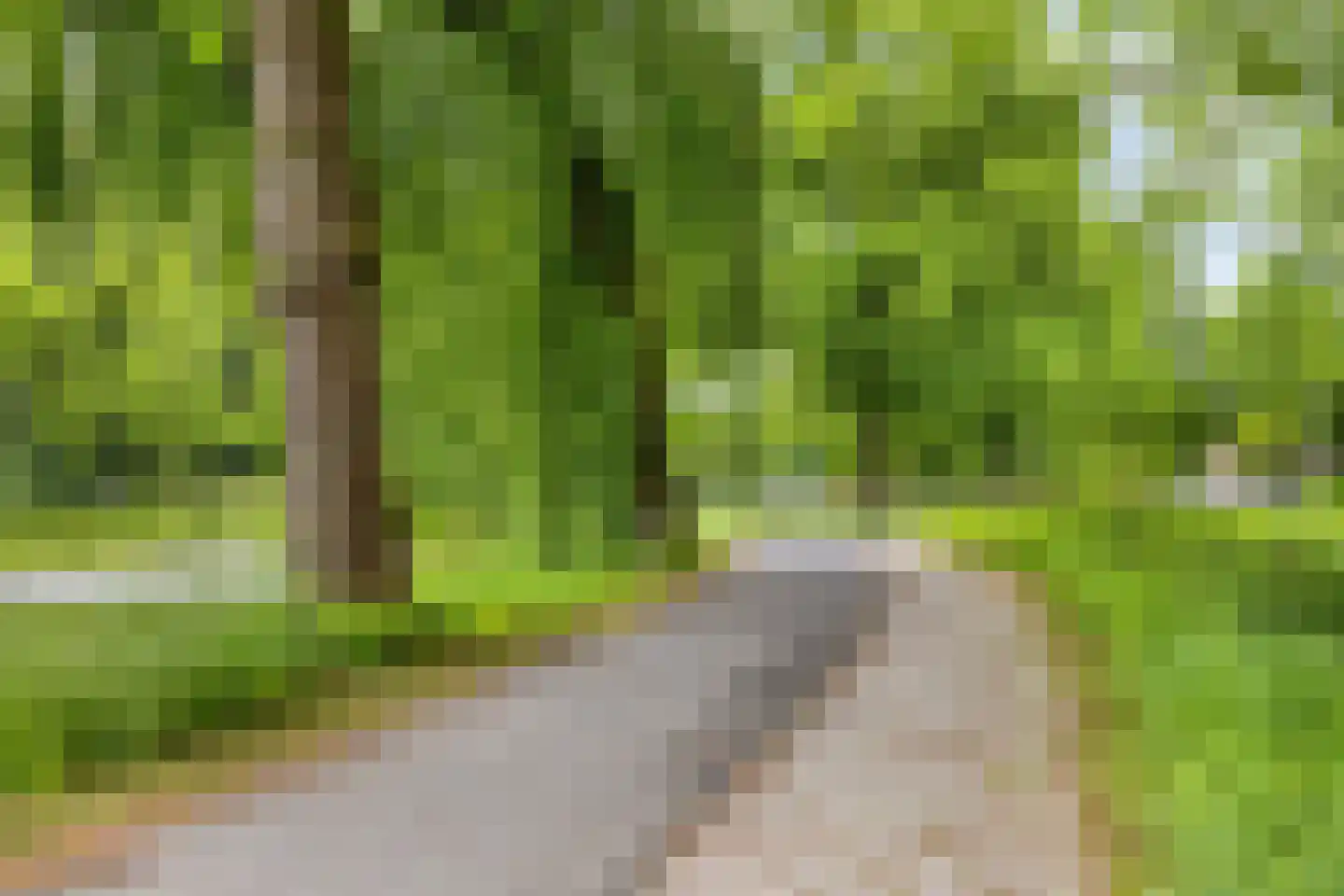 Rozenhof 47 Epe thumbnail 32