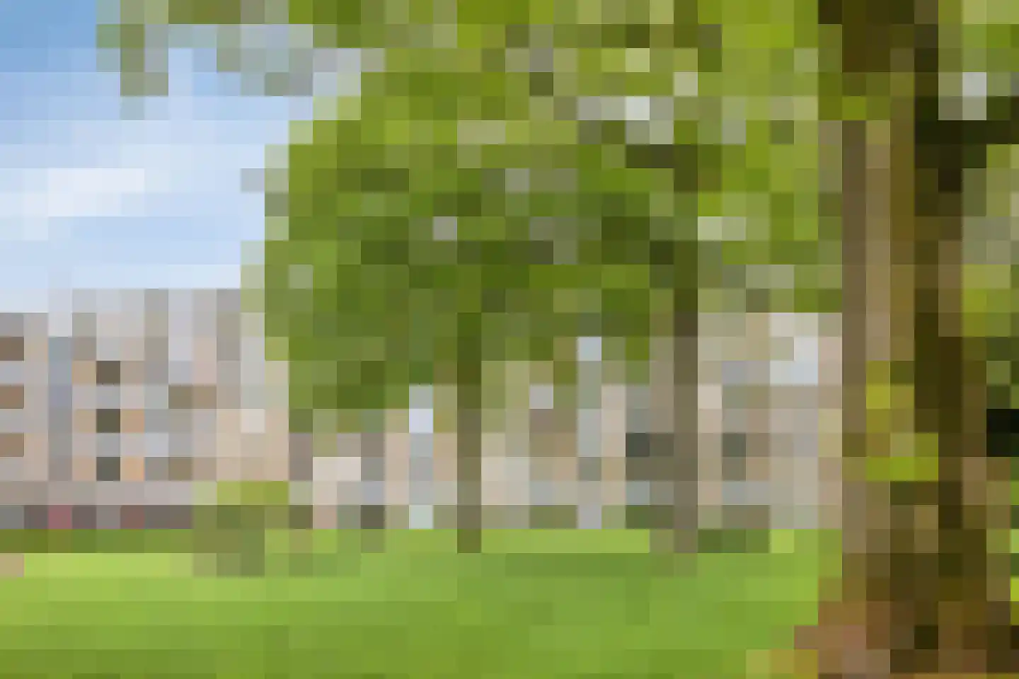 Rozenhof 47 Epe thumbnail 33