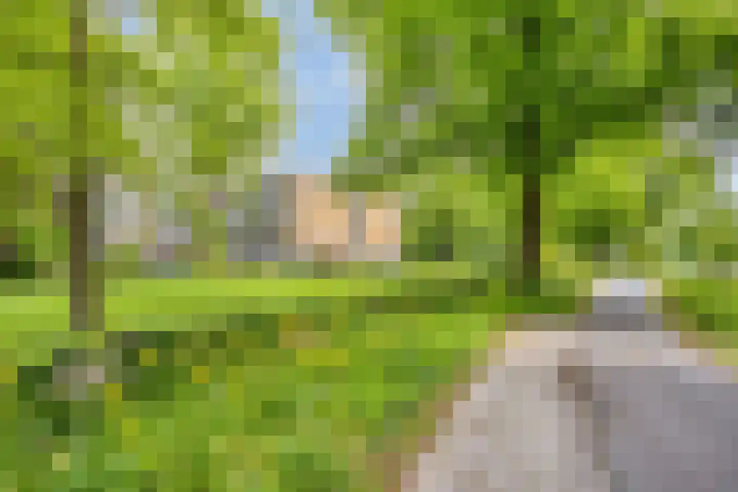 Rozenhof 47 Epe thumbnail 35