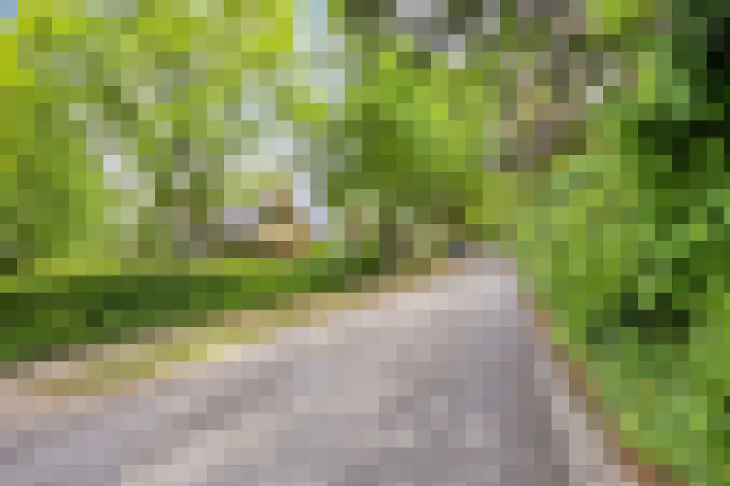 Rozenhof 47 Epe thumbnail 36