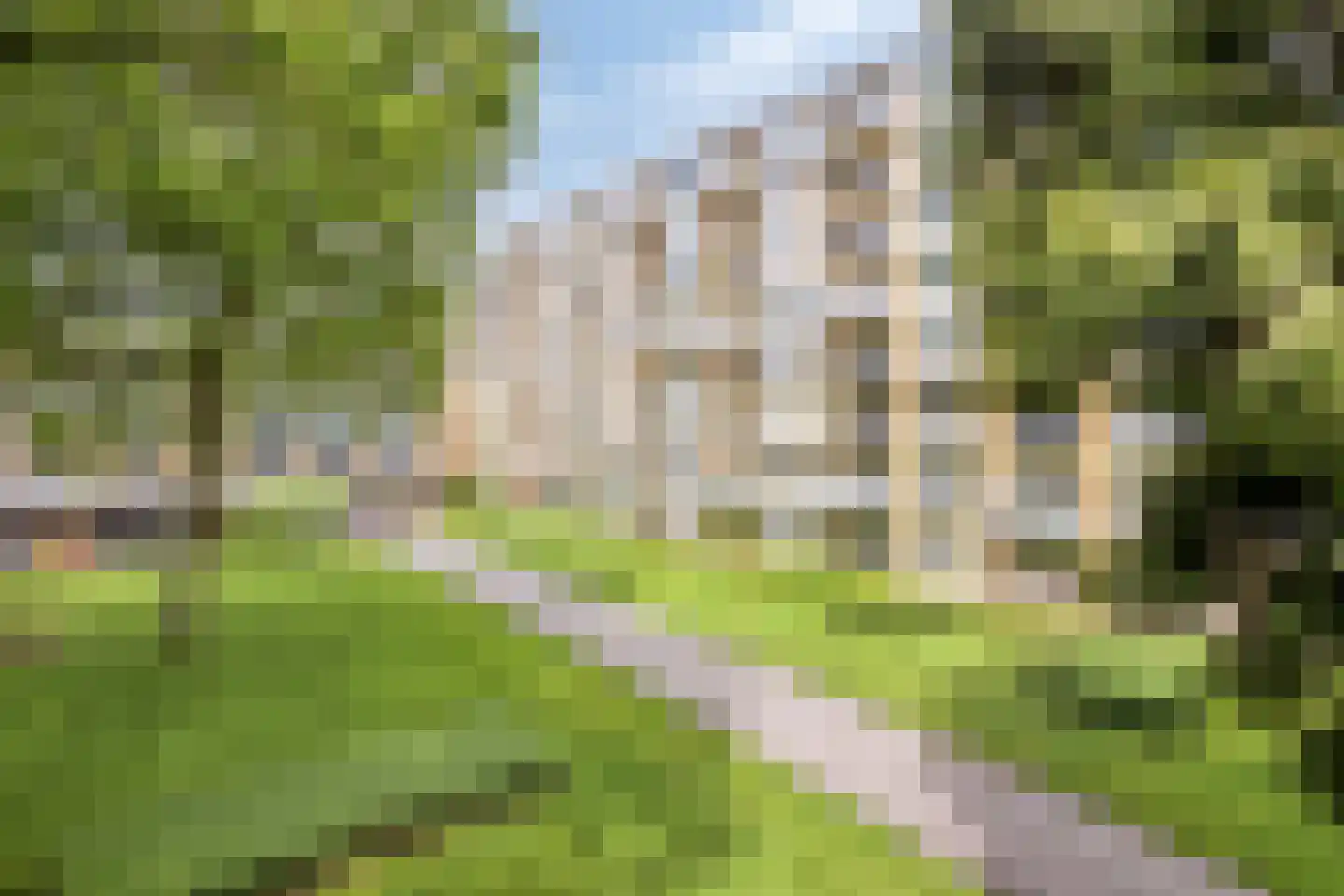 Rozenhof 47 Epe thumbnail 39