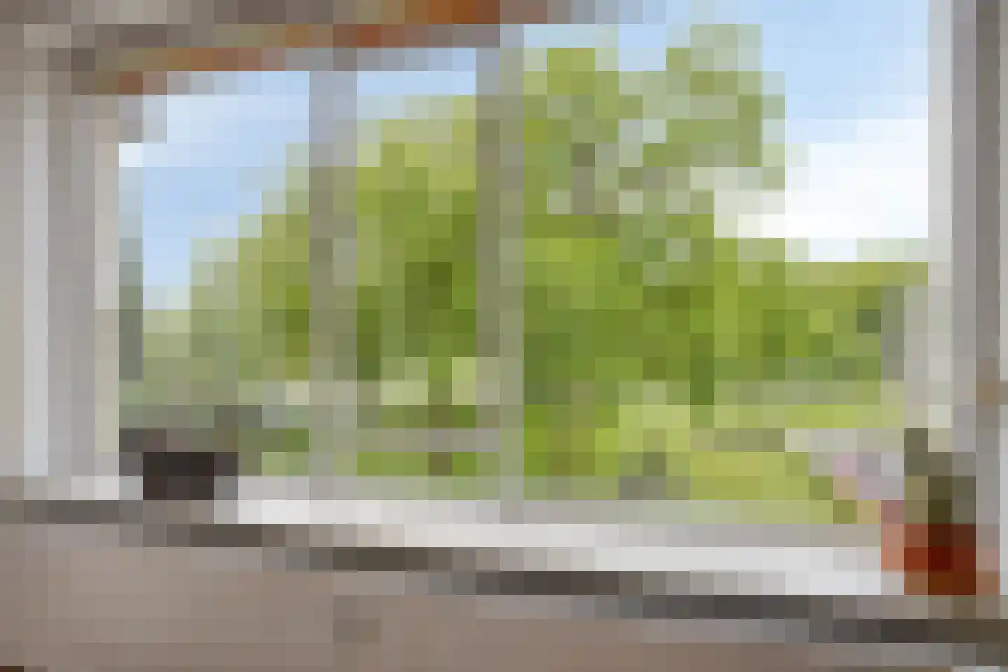Rozenhof 47 Epe thumbnail 4
