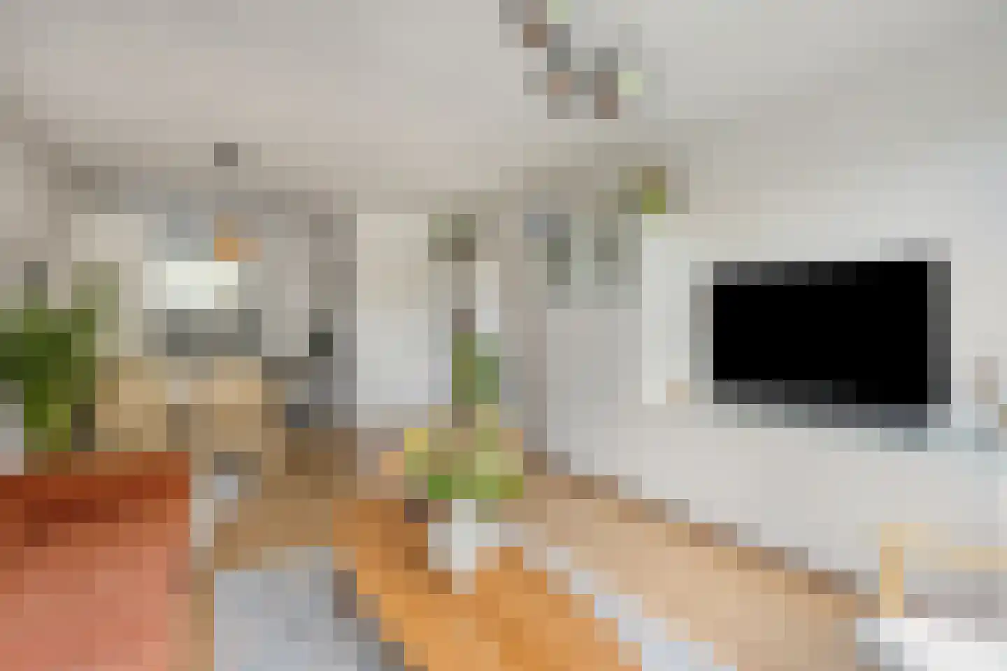 Rozenhof 47 Epe thumbnail 5