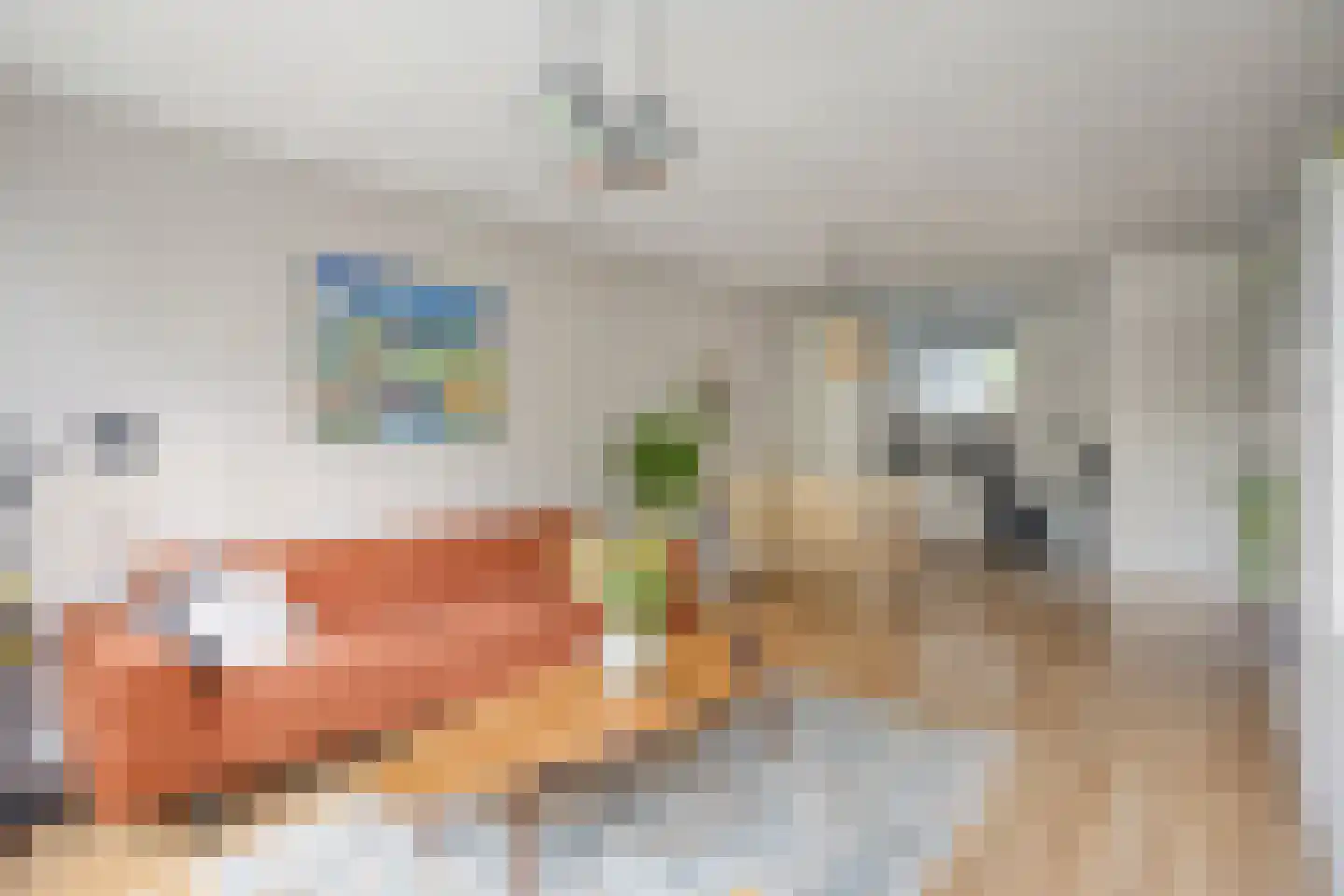 Rozenhof 47 Epe thumbnail 6