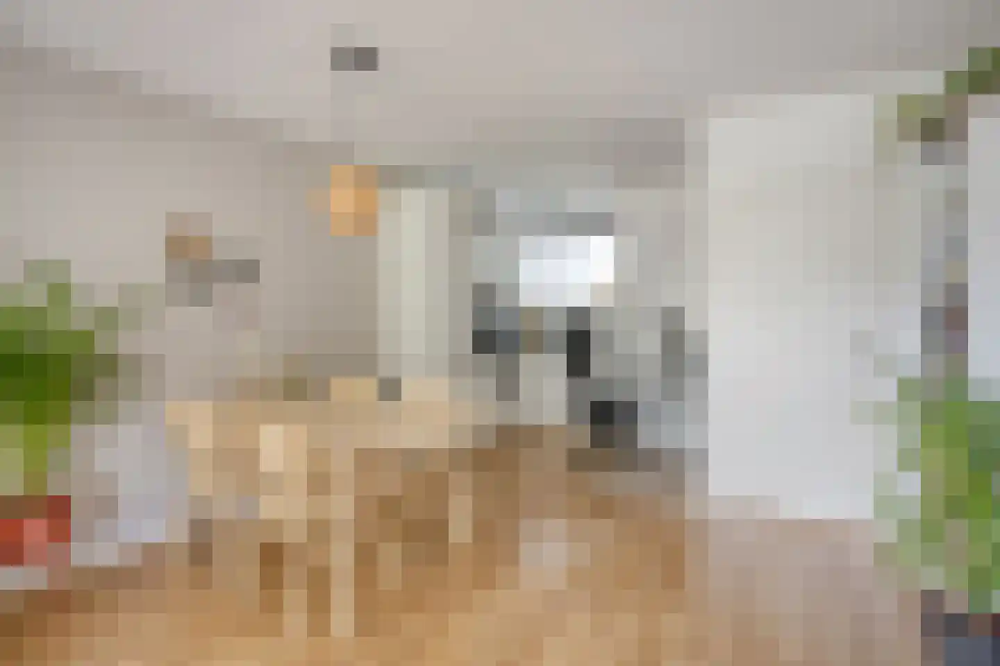 Rozenhof 47 Epe thumbnail 7