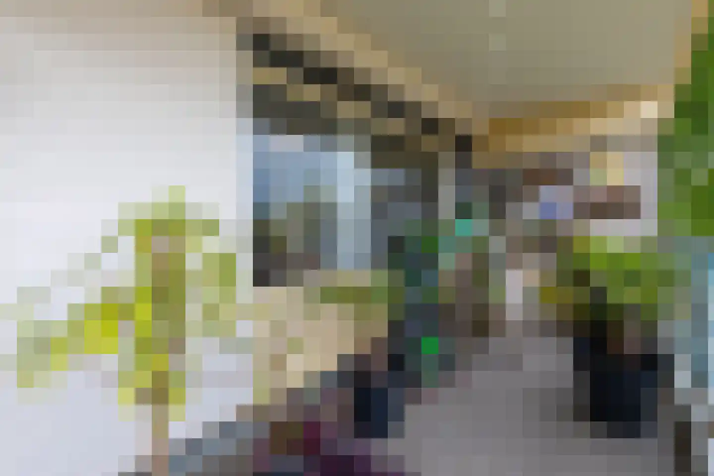 Rozenhof 49 Brunssum thumbnail 16