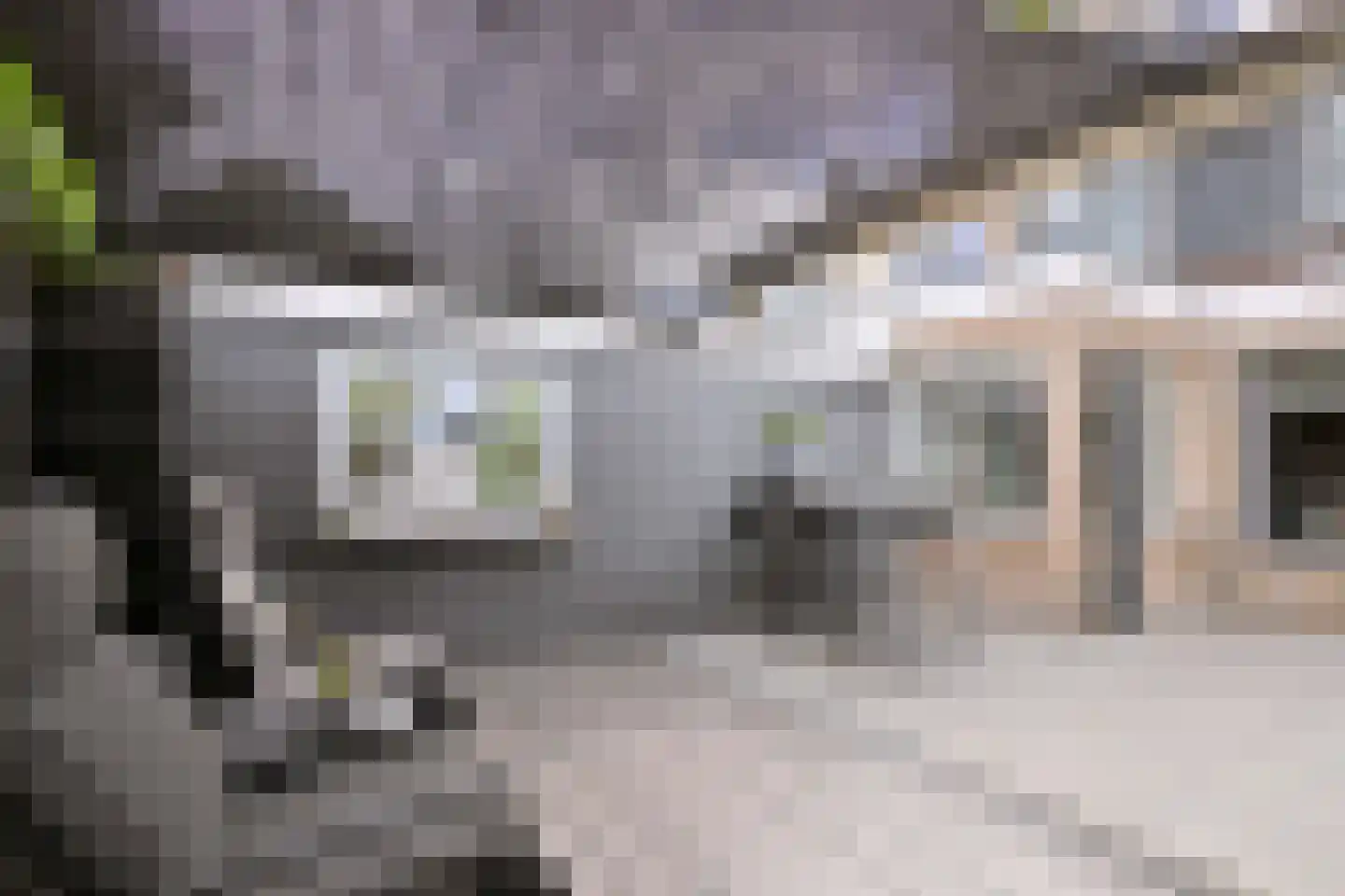 Rozenhof 6 Olst thumbnail 18
