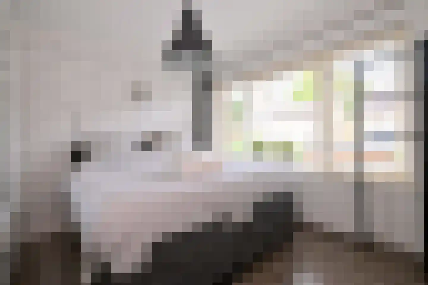 Rozenhof 6 Olst thumbnail 23