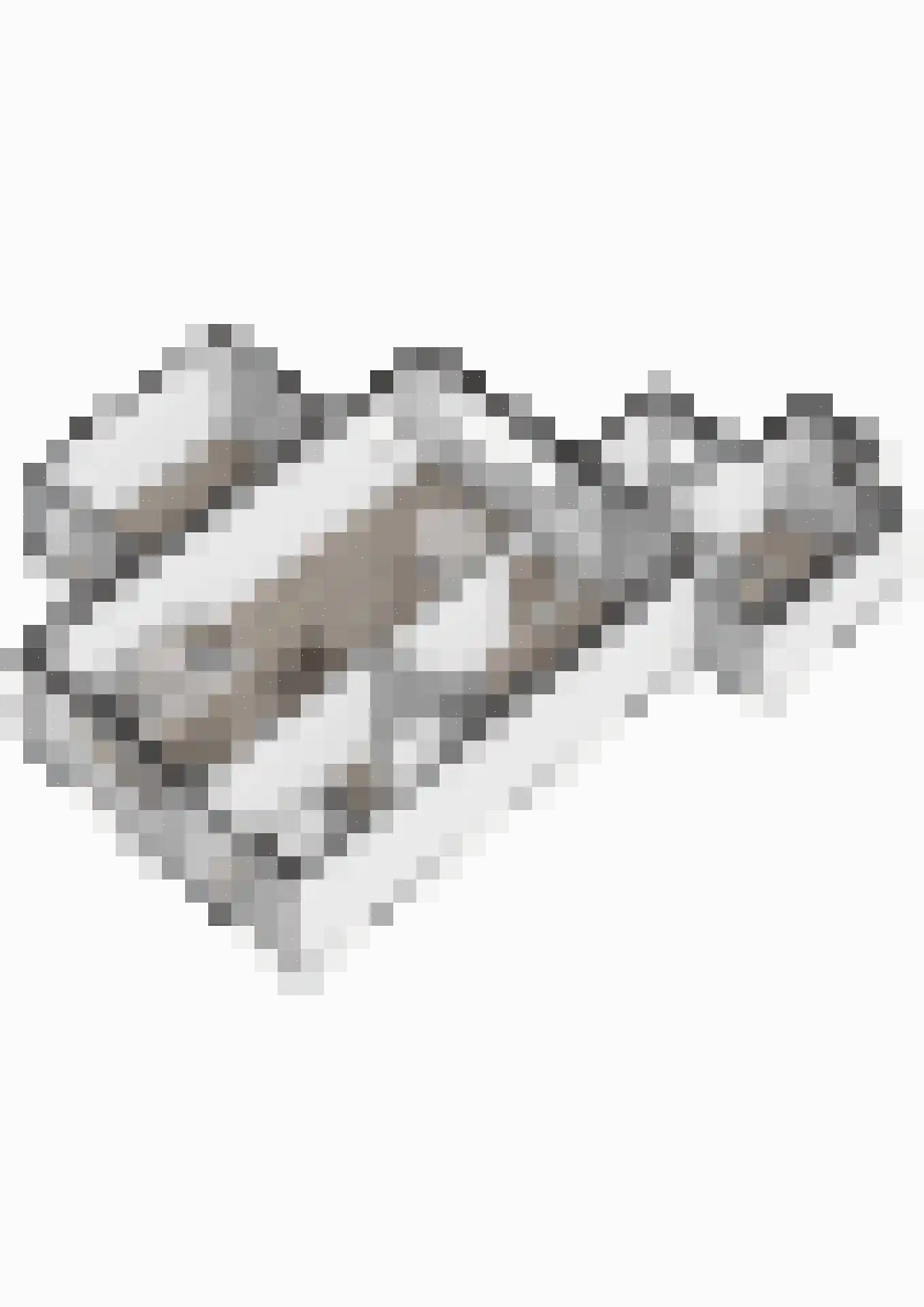 Rozenhof 6 Olst thumbnail 44