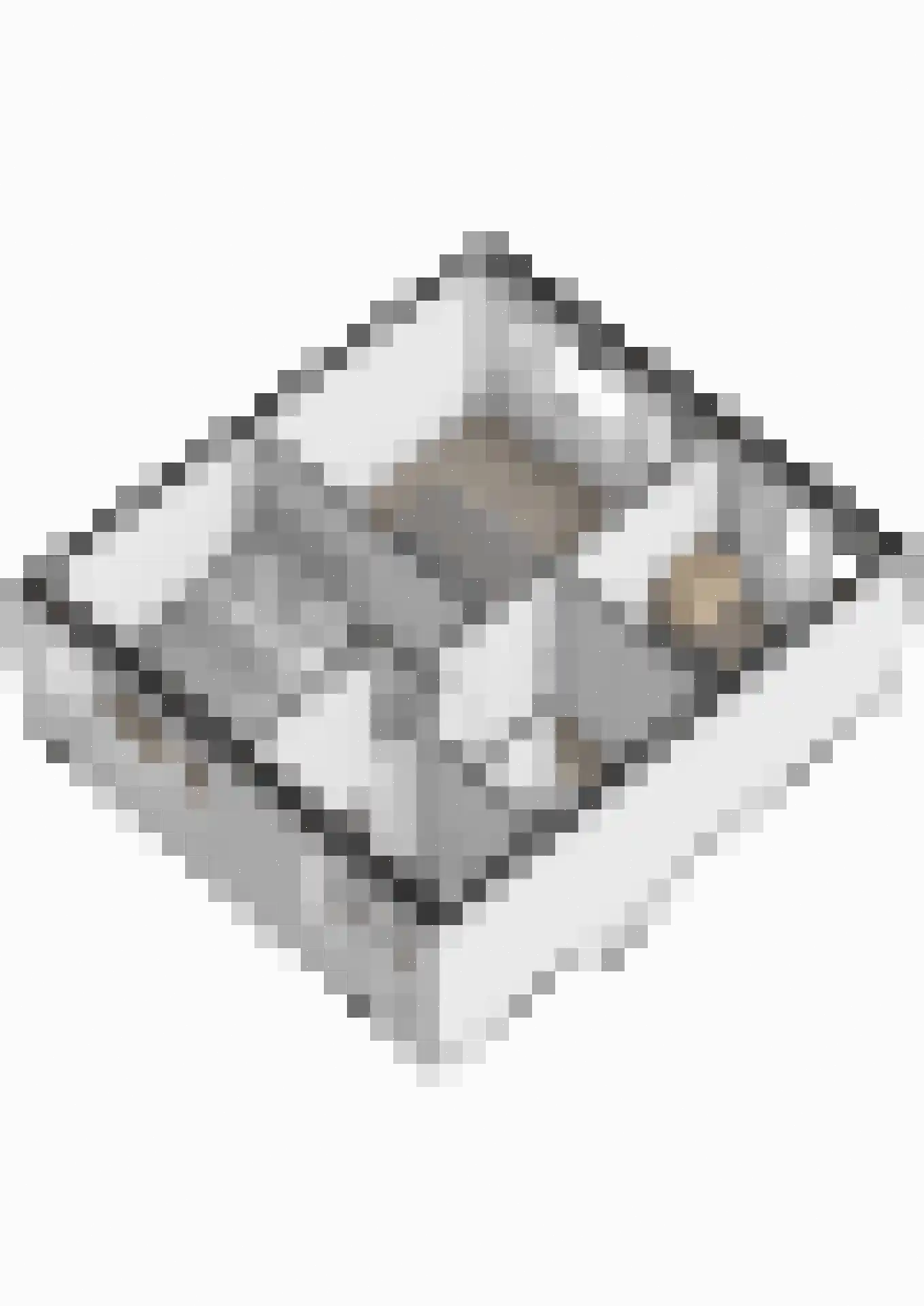 Rozenhof 6 Olst thumbnail 45