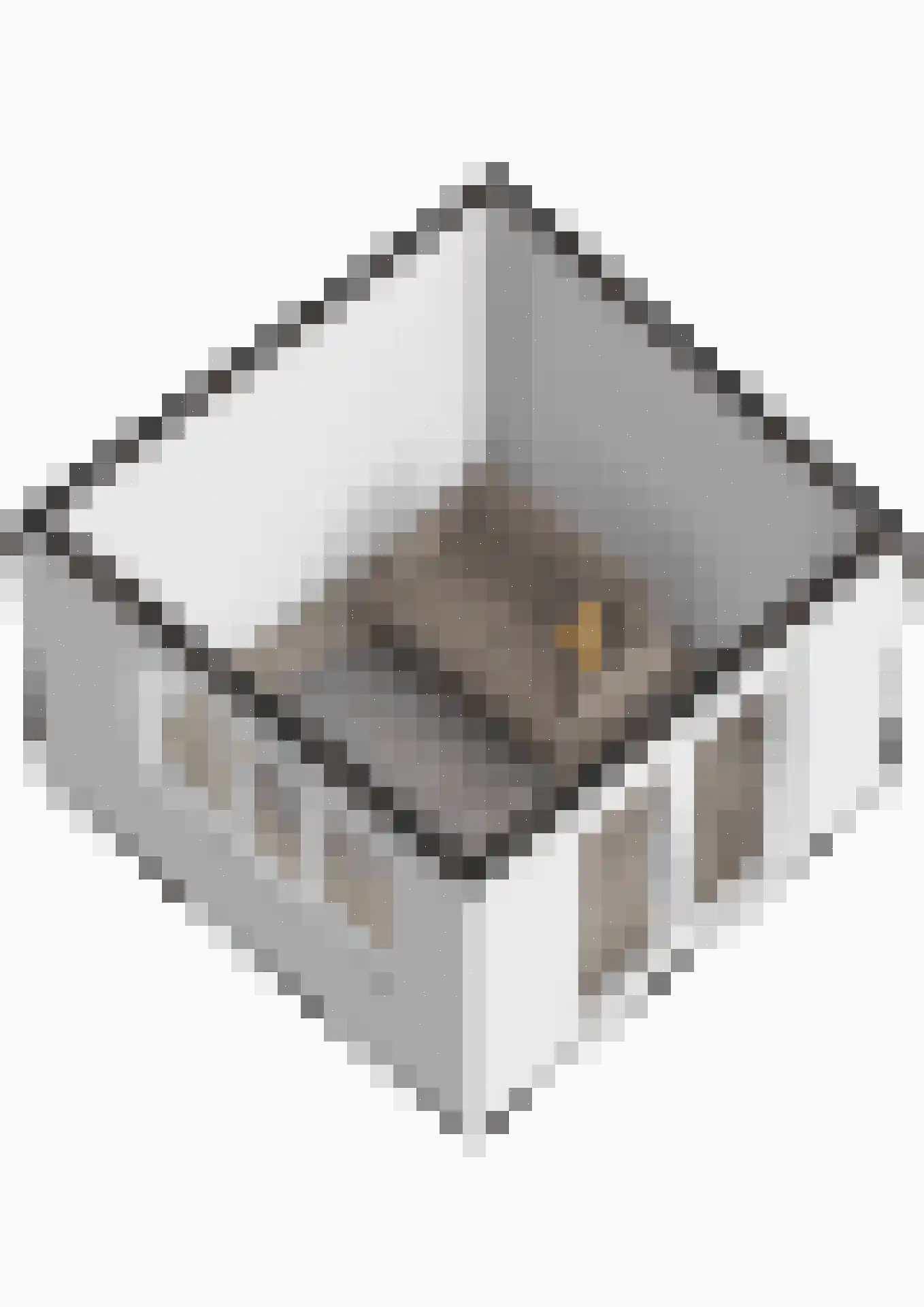 Rozenhof 6 Olst thumbnail 47