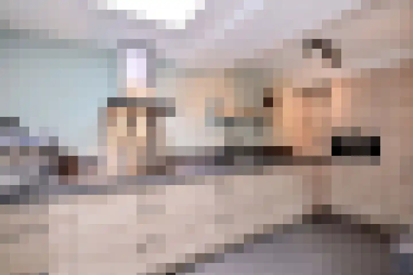 Rozenhof 6 Olst thumbnail 8