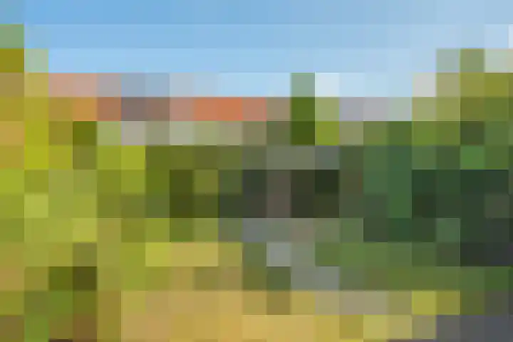 Rozenhof 64 Borne thumbnail 24