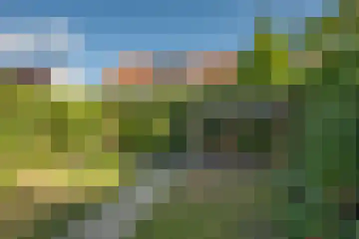 Rozenhof 64 Borne thumbnail 25