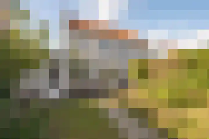 Rozenhof 64 Borne thumbnail 26
