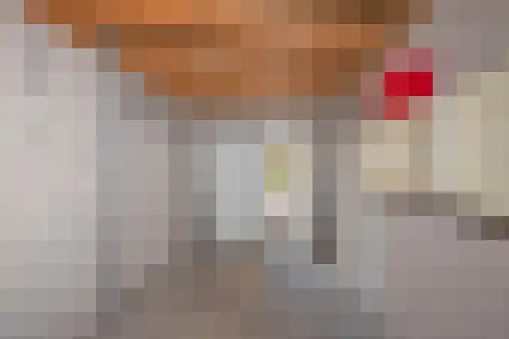Rozenhof 64 Borne thumbnail 4