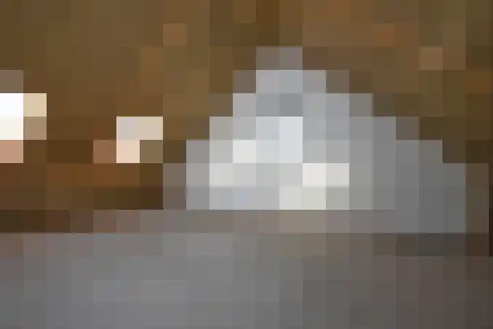 Rozenhof 66 Borne thumbnail 19