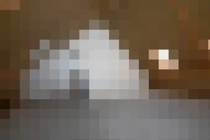 Rozenhof 66 Borne thumbnail 20