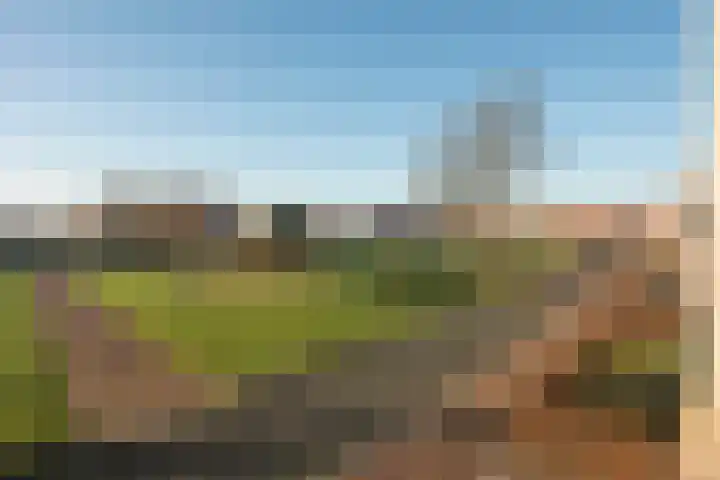 Rozenhof 66 Borne thumbnail 21