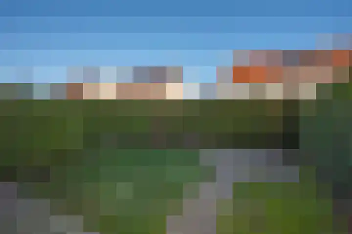 Rozenhof 66 Borne thumbnail 23