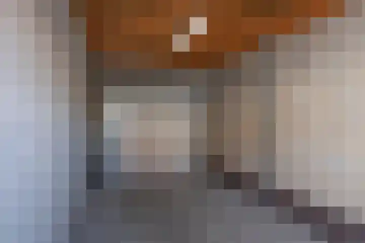 Rozenhof 66 Borne thumbnail 25