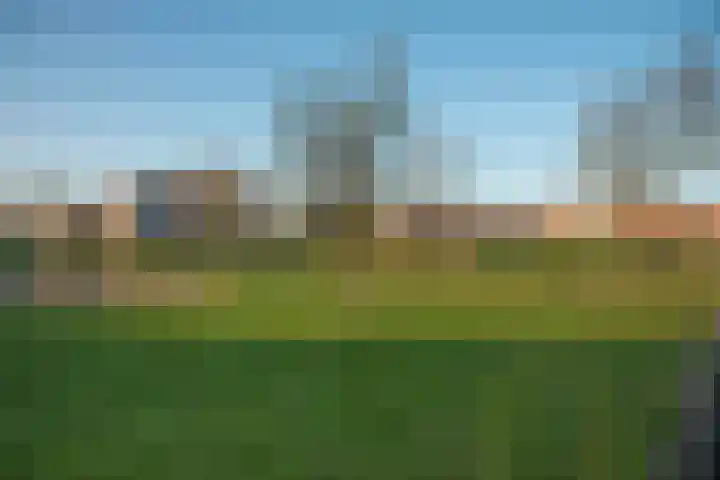 Rozenhof 66 Borne thumbnail 5