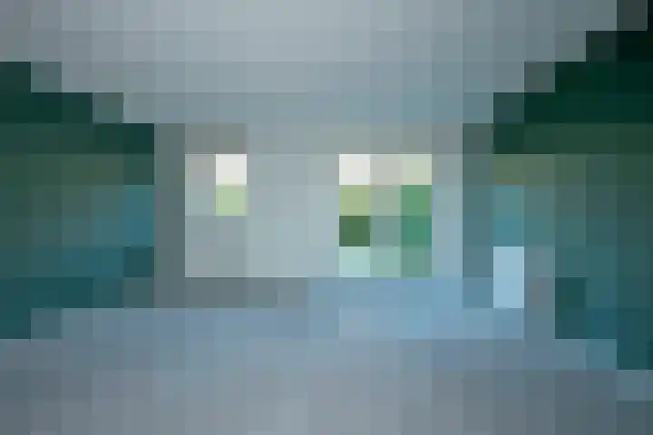 Rozenhof 66 Borne thumbnail 8