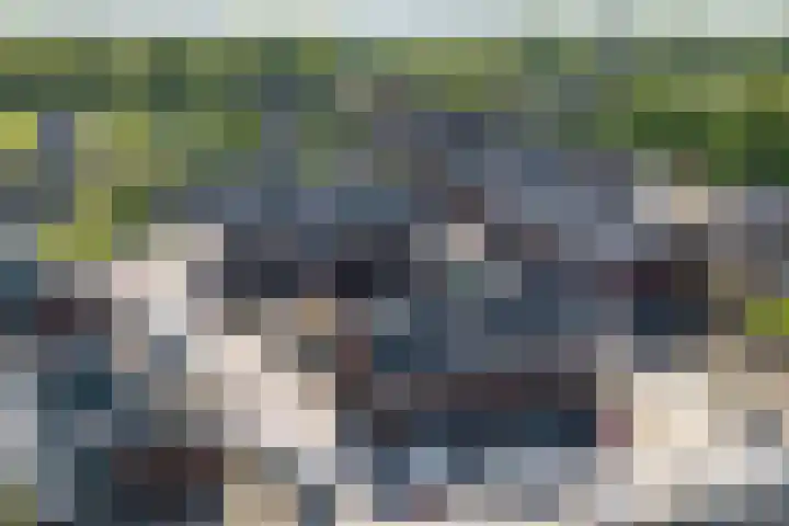 Rozenhof 7 Doetinchem thumbnail 28