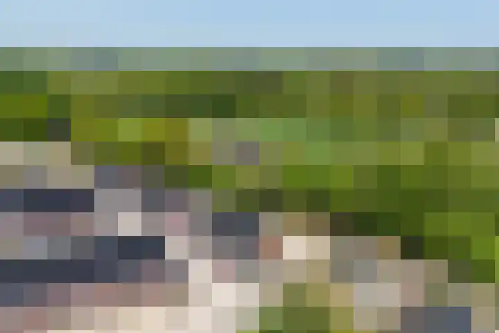 Rozenhof 7 Doetinchem thumbnail 29