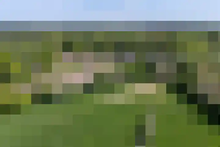Rozenhof 7 Doetinchem thumbnail 30