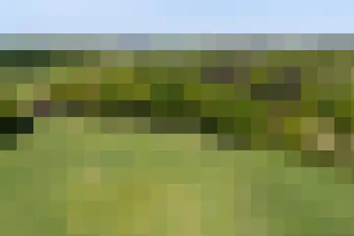 Rozenhof 7 Doetinchem thumbnail 31