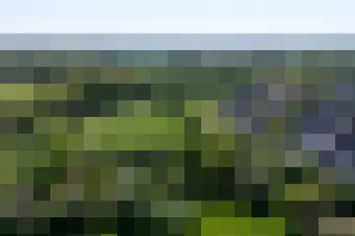Rozenhof 7 Doetinchem thumbnail 32