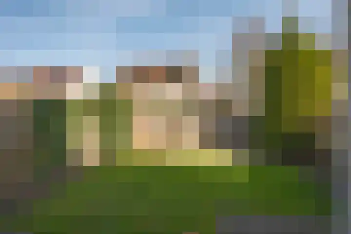 Rozenhof 86 Borne thumbnail 22