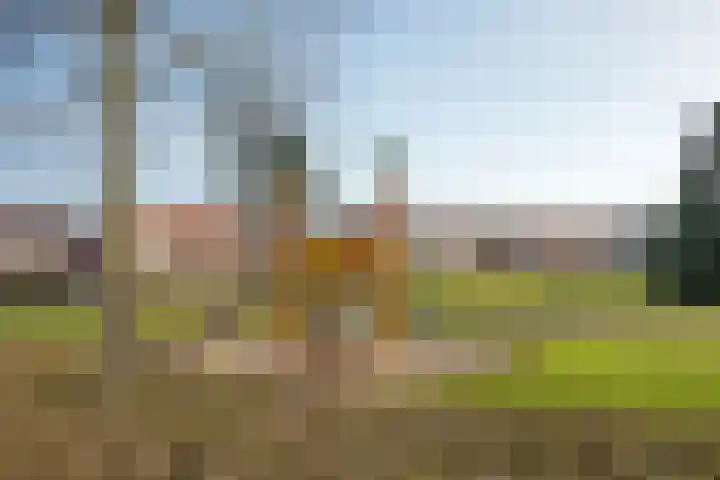 Rozenhof 86 Borne thumbnail 23