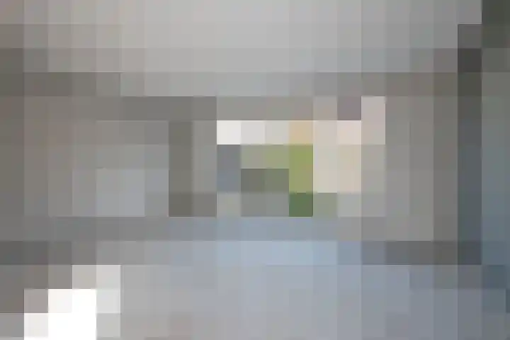 Rozenhof 86 Borne thumbnail 8