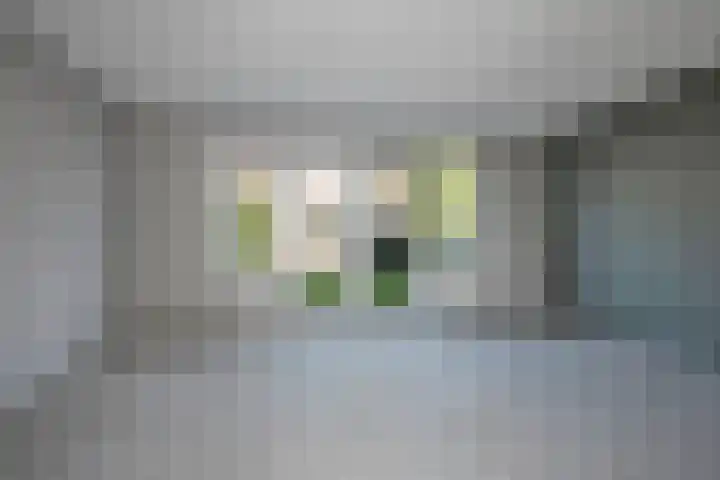 Rozenhof 86 Borne thumbnail 9