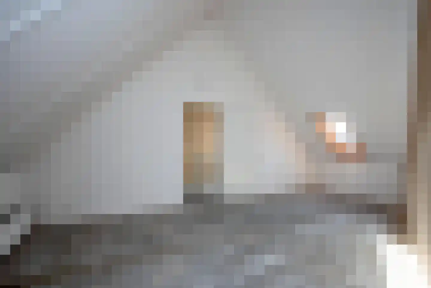 Rozenhof 92 Borne thumbnail 21
