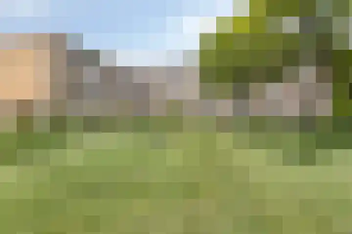 Rozenhof 93 dans Epe