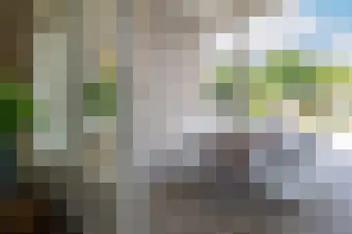 Rozenhoflaan 2 Zutphen thumbnail 13