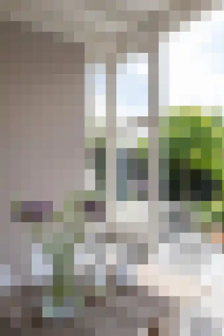 Rozenhoflaan 2 Zutphen thumbnail 14