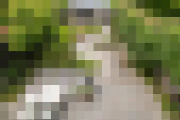 Rozenhoflaan 2 Zutphen thumbnail 39