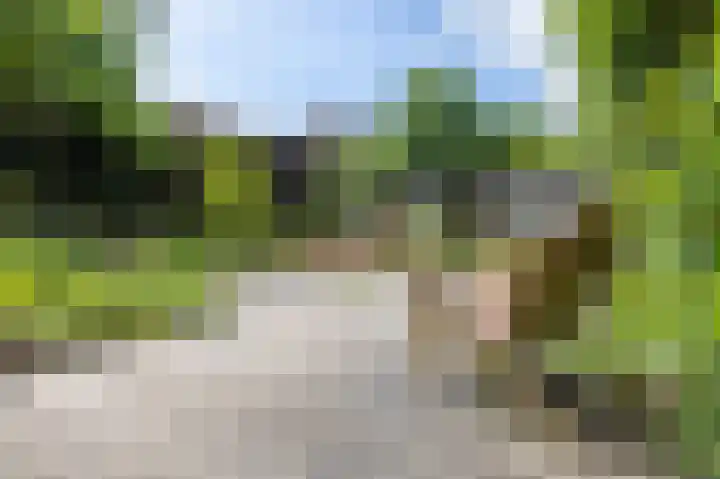 Rozenhoflaan 2 Zutphen thumbnail 80