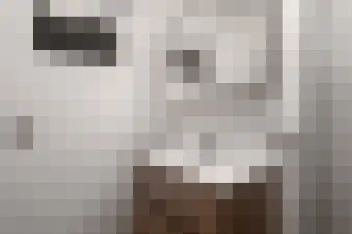 Rozenhoflaan 3 Epe thumbnail 15