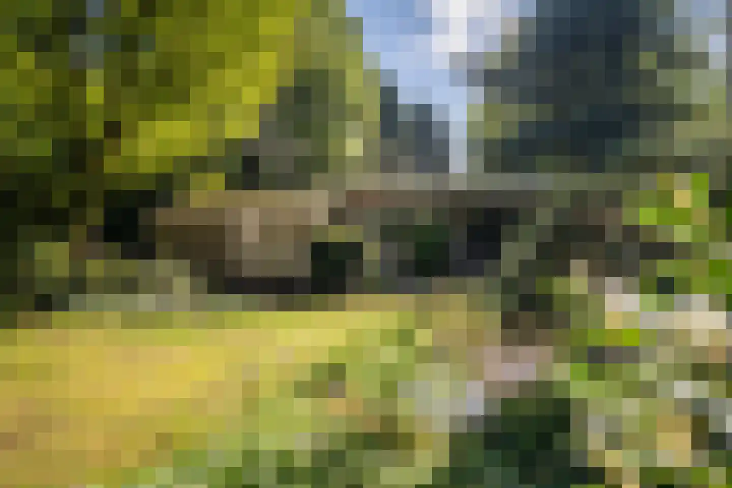 Rozenhoflaan 3 Epe thumbnail 18